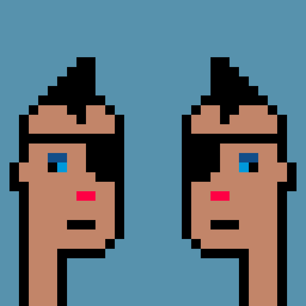 CoolTwinPunks's tweet photo. @LaunchNFTs @wildexoplanet https://t.co/t5Ew54qj9g