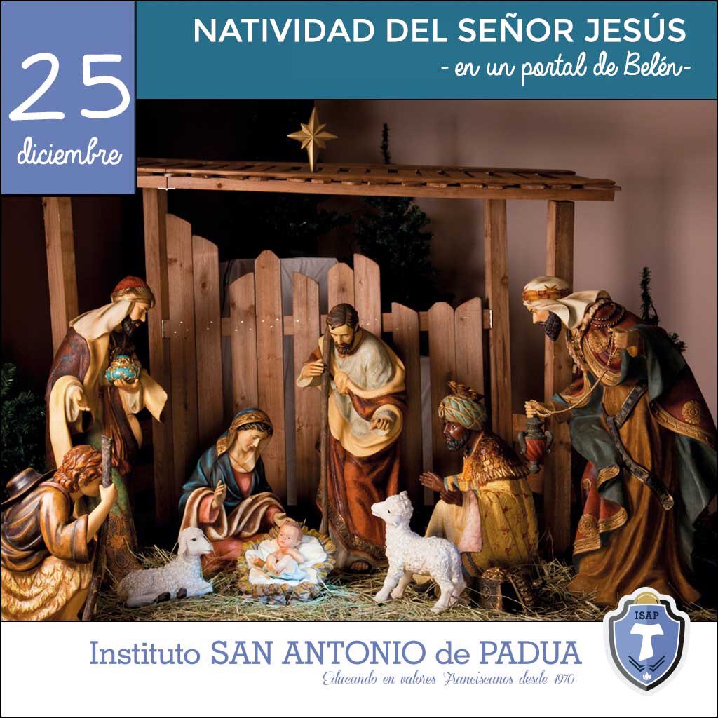 elpaduaisap's tweet photo. Que el niño de Belén ilumine y bendiga los corazones de toda nuestra comunidad ¡Feliz Navidad! #Navidad #naciojesus🌠 #elpaduaisap https://t.co/VDZCaEX33u