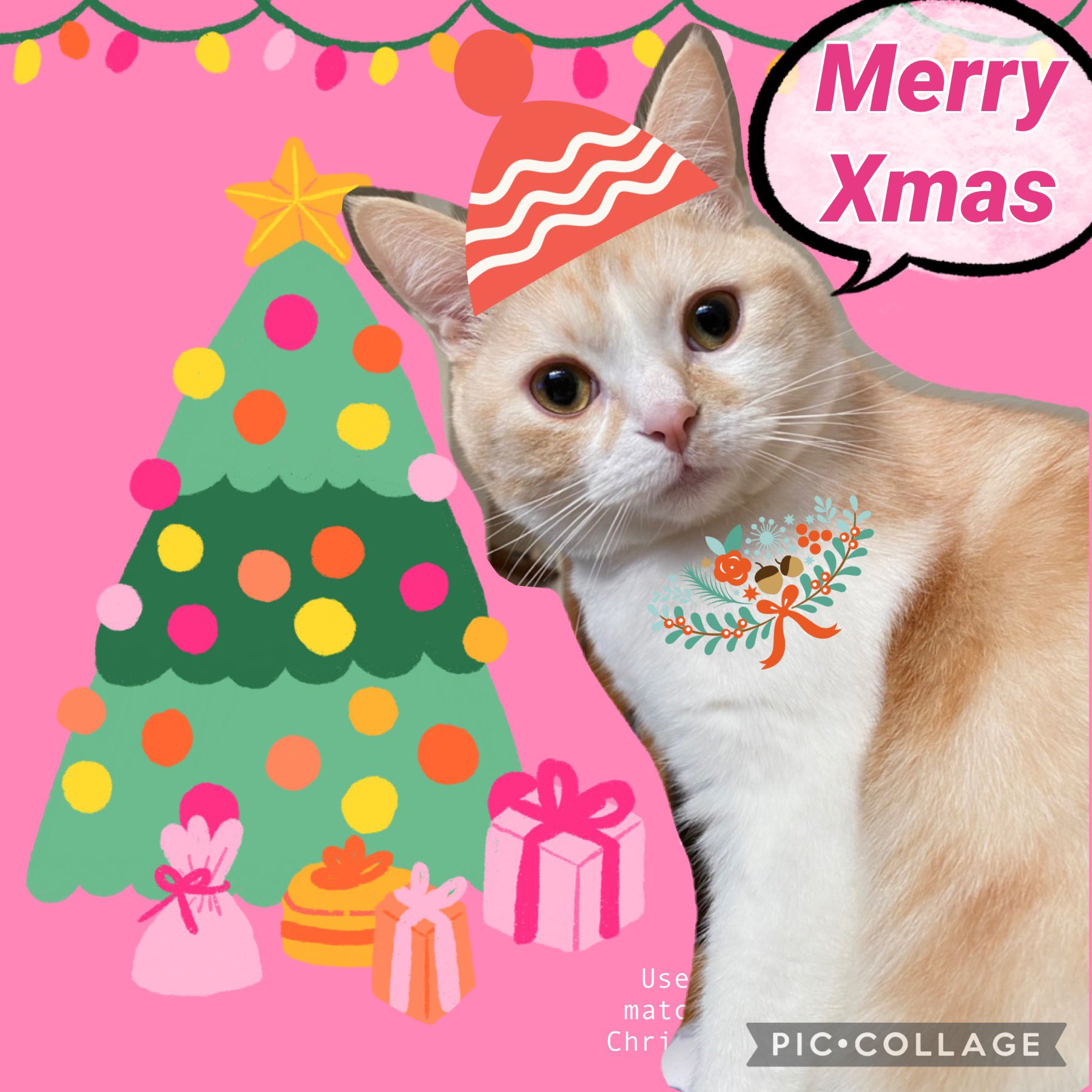 猫のいるクリスマス Twitter Search Twitter