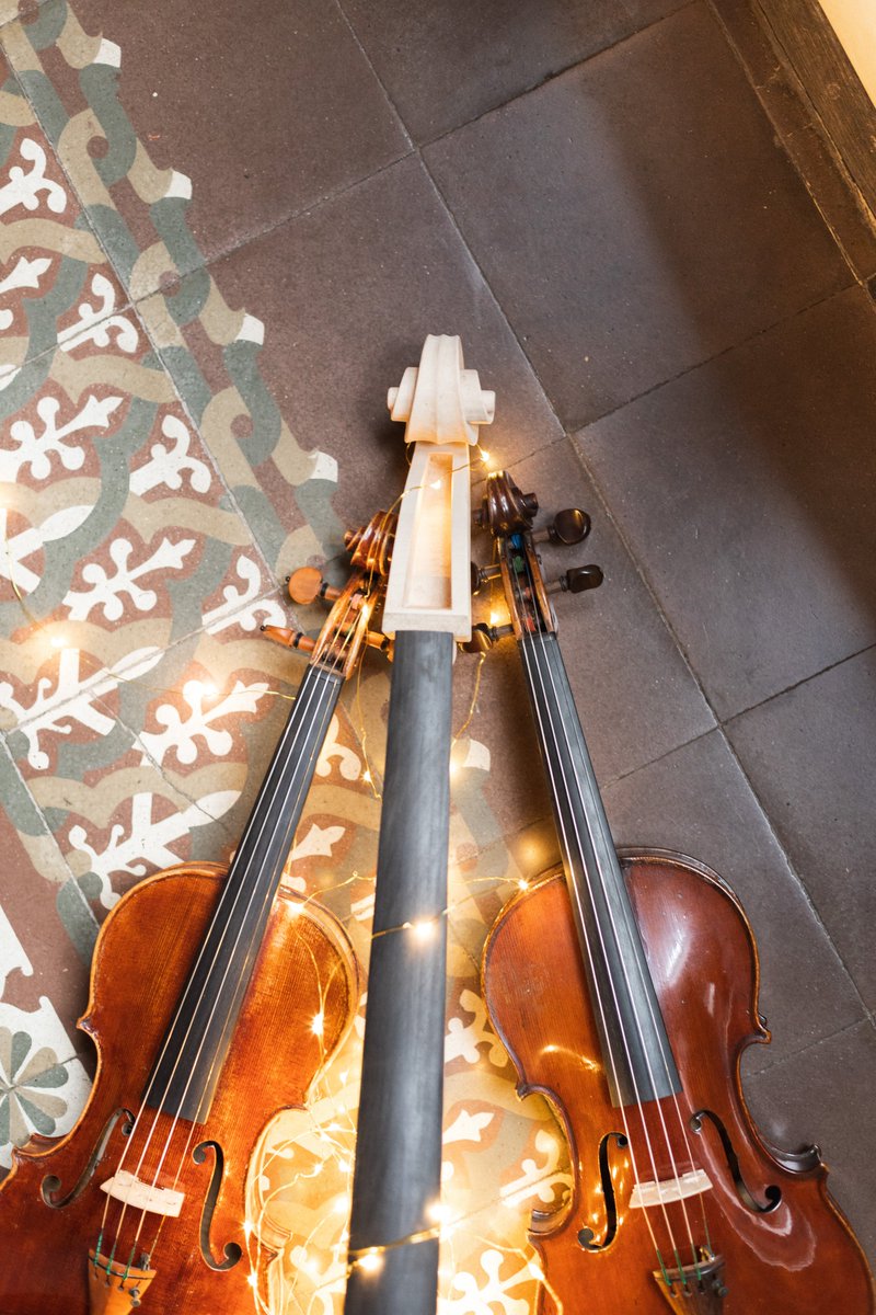 Luthier Vidal tweet media