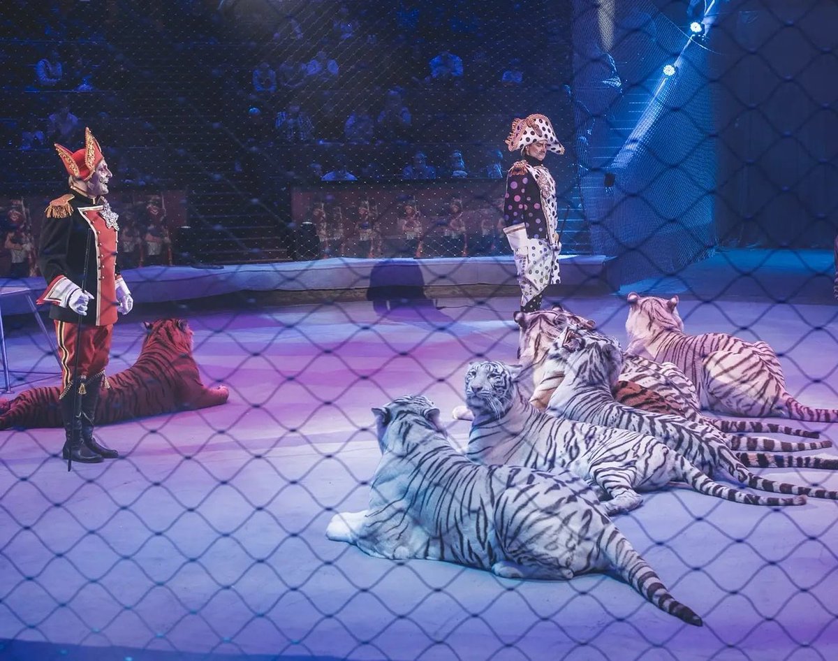 Герои сказки Ганса Христиана Андерсена оживают на манеже Большого Московского цирка 🎪

🎟greatcircus.ru