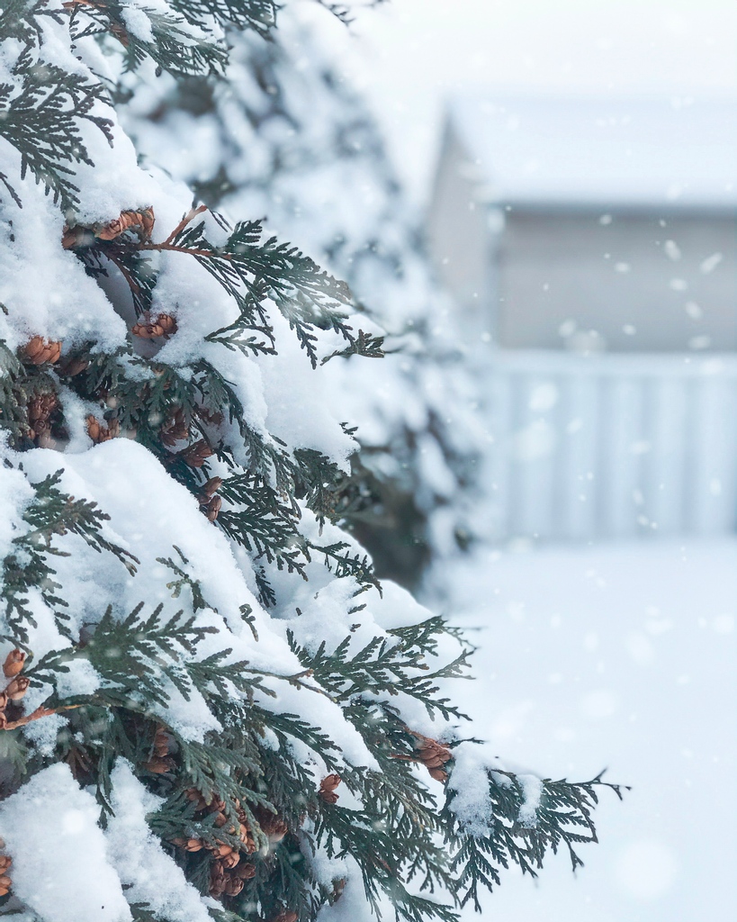 ImmigrantWomen's tweet photo. Happy holidays from IWSO.
#EndVAW #Immigrationsservices #YouAreNotAlone
#SupportSurvivors #ottnews #ottcity https://t.co/RbMcVsleL7