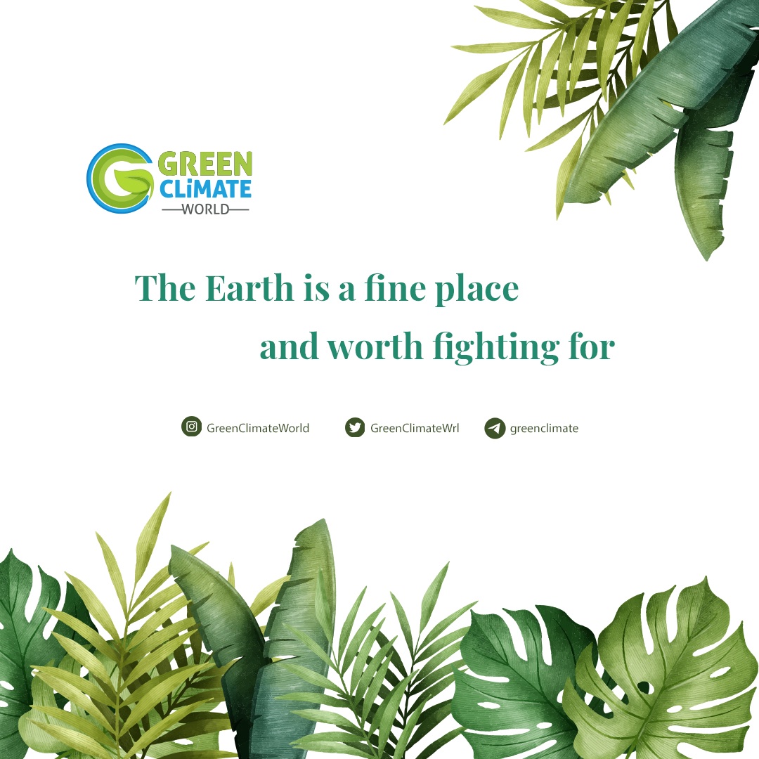 linktr.ee/greenclimate 🌱🌲🌍

#nature #green #climate #world #naturelovers #project #blockchain #cryptocurrency #life #WGC #WGCToken #greenclimateworld #plant #tree