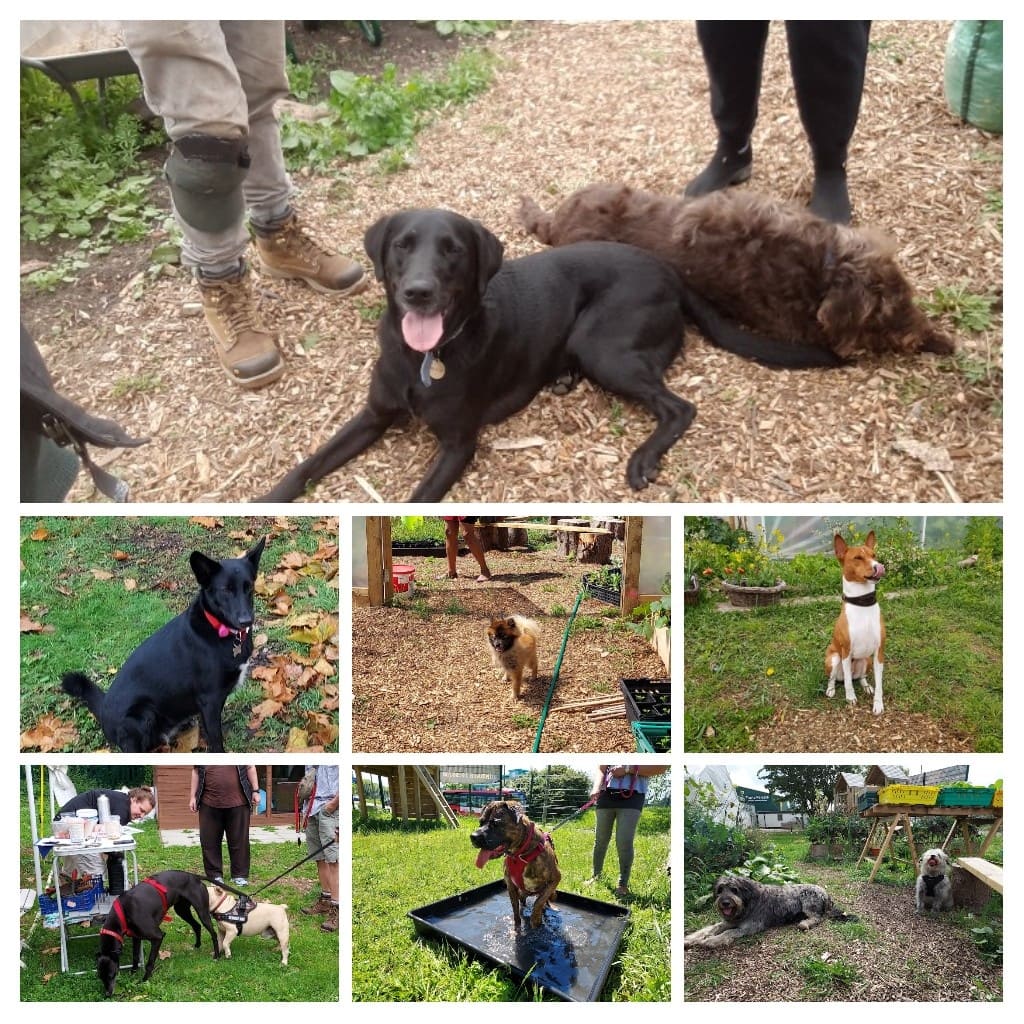 Big thanks to everyone who has supported us and helped the garden thrive 🌱🌻🐛 Merry Christmas and Happy New Year to all⭐