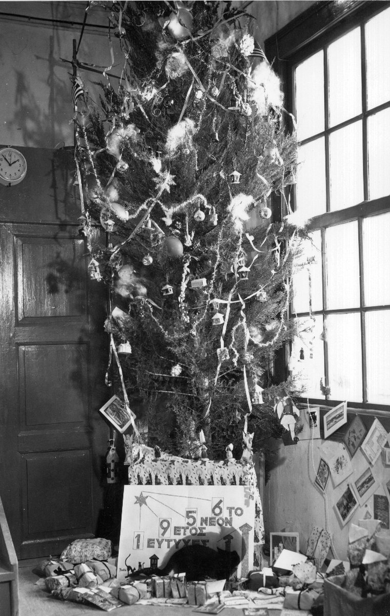ASCSAthens's tweet photo. Καλές Γιορτές! Today’s #fbf features December 1955: the work crew is photographed with a Christmas tree outside of the Stoa of Attalos, and a cat poses in front of a Christmas tree in the Agora’s Old Excavation House (25 Asteroskopeiou Street). Recognize the ornaments? #ASCSA140 https://t.co/UwYZ1kw7zD