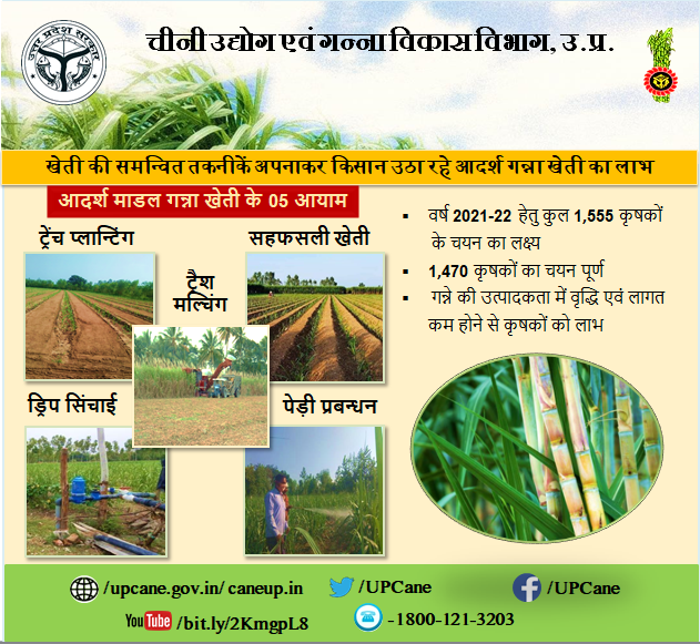 ''खेती की समन्वित तकनीकें अपनाकर किसान उठा रहे आदर्श गन्ना खेती का लाभ''
#canewebsite
upcanegov.in
caneup.in
 E-ganna app 
<a href="/UPGovt/">Government of UP</a>
<a href="/CMOfficeUP/">CM Office, GoUP</a>
<a href="/InfoDeptUP/">Information and Public Relations Department, UP</a>