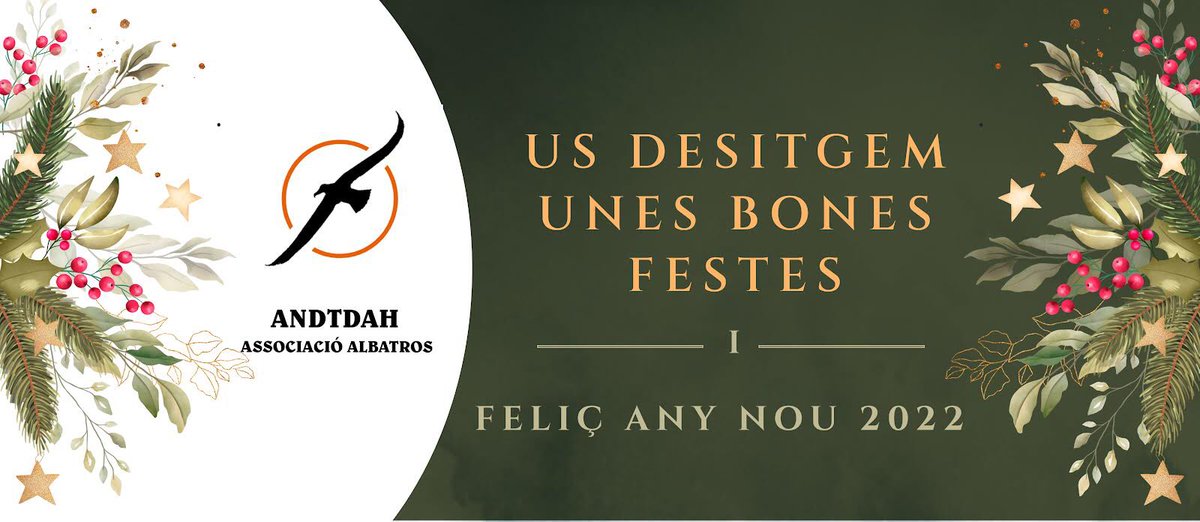 AndTdah's tweet photo. Molt bones festes us desitgem des d’ANDTDAH Associació Albatros 🎄🧡💫 #tdah #tdahadultos #andorra #andorralavella #escaldesengordany #ordino #canillo #lamassana #encamp #santjuliadeloria https://t.co/bcyP66Pa1U
