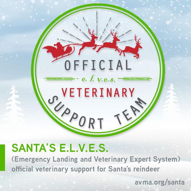 CCAHinA2's tweet photo. We are happy to announce that we are again certified as an official “Santa’s E.L.V.E.S.” (Emergency Landing &amp; Veterinary Expert System) clinic. We are on call to help if Santa’s reindeer need emergency assistance. We want to ensure a safe #Christmas for #Santa and his #reindeer https://t.co/qnhARjrd3S
