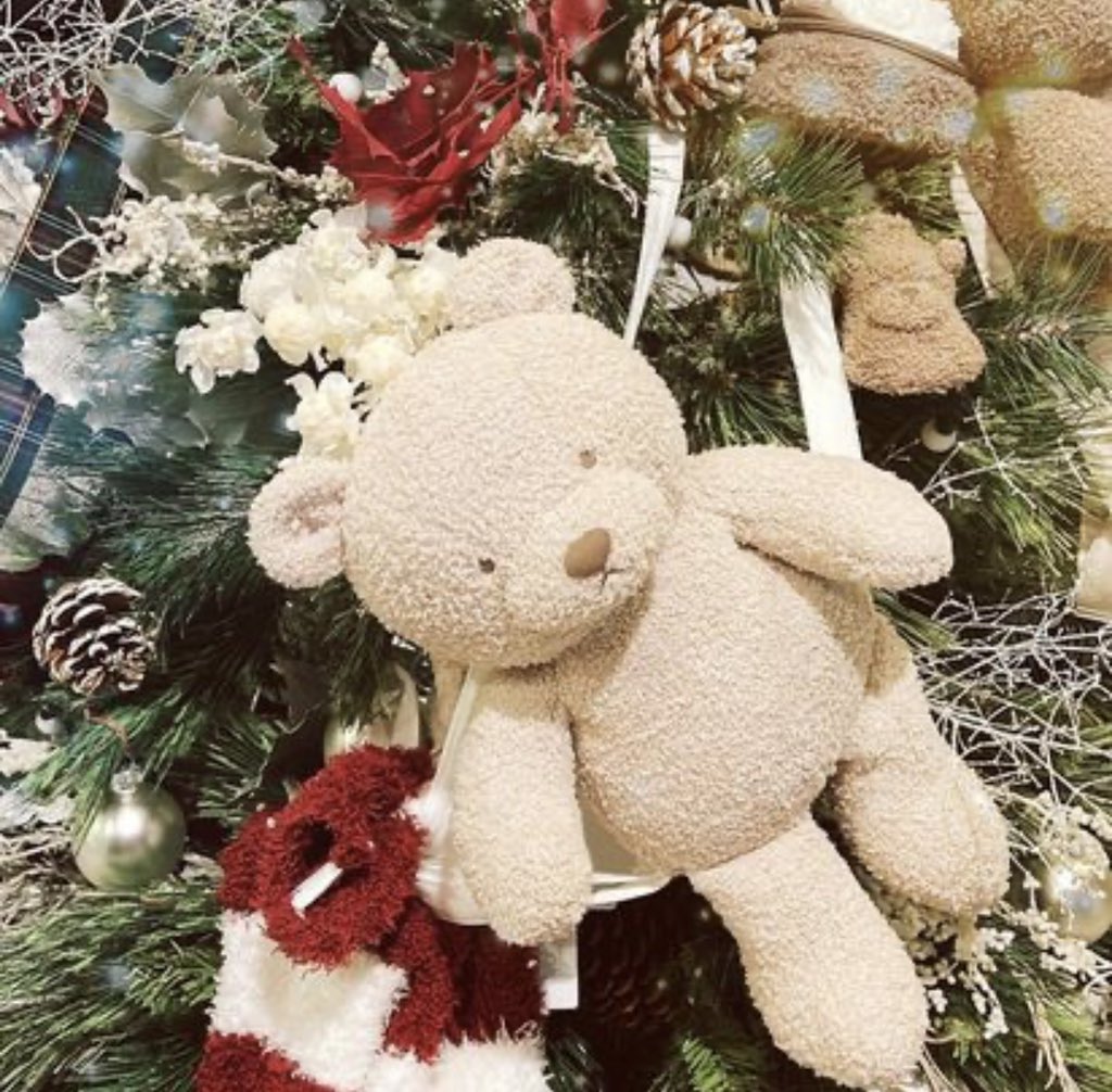 happy holidays🎄🕊