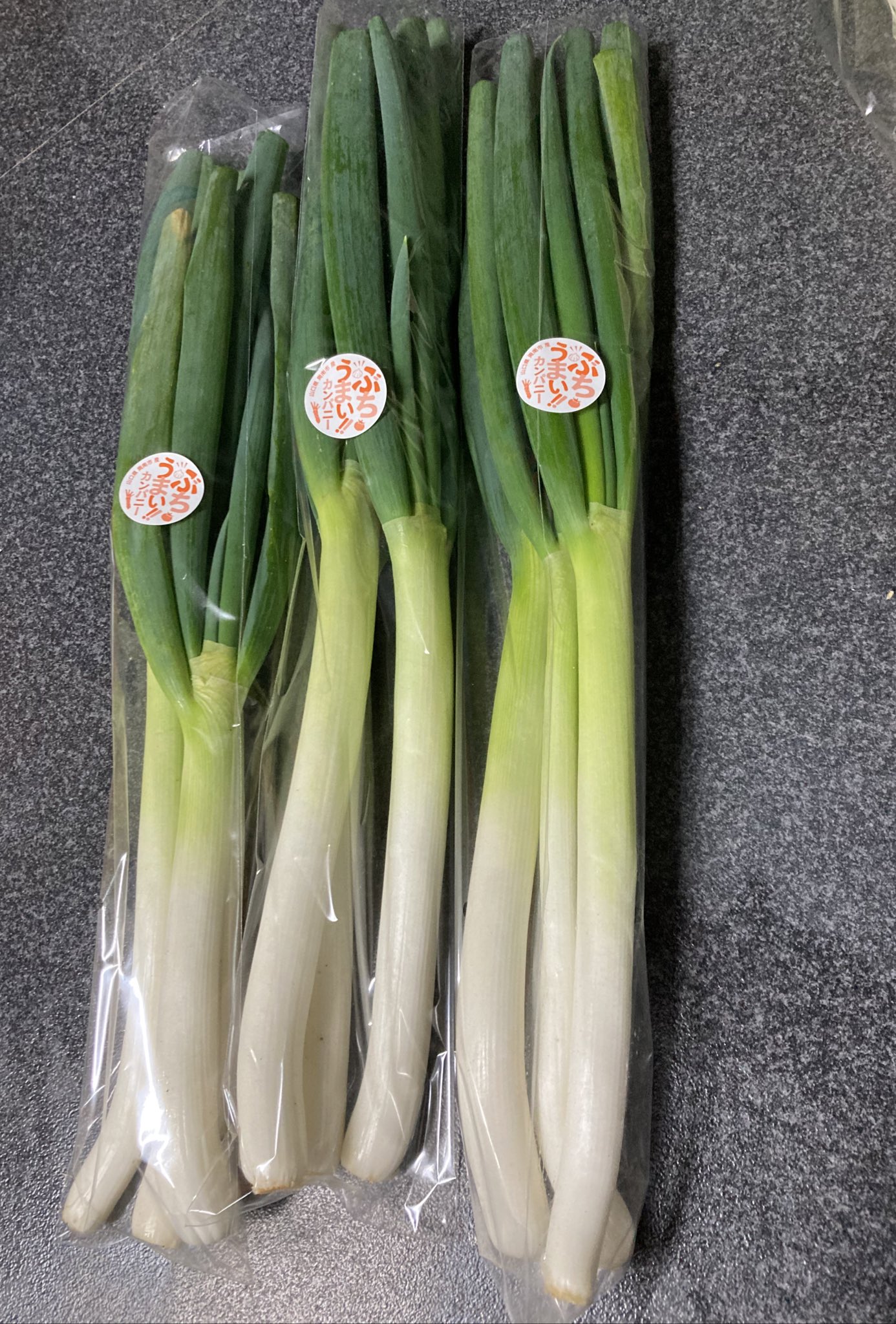 ぶちうまいカンパニー 立派な白ネギが出来たので出荷します マックスバリュー山田店 菜々来んさい他直売所に出しますので是非お買い求めください ねぎ ぶちうまい 農業 T Co Z3prdtvwn8 Twitter