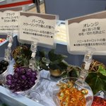 うみうみのツイート画像