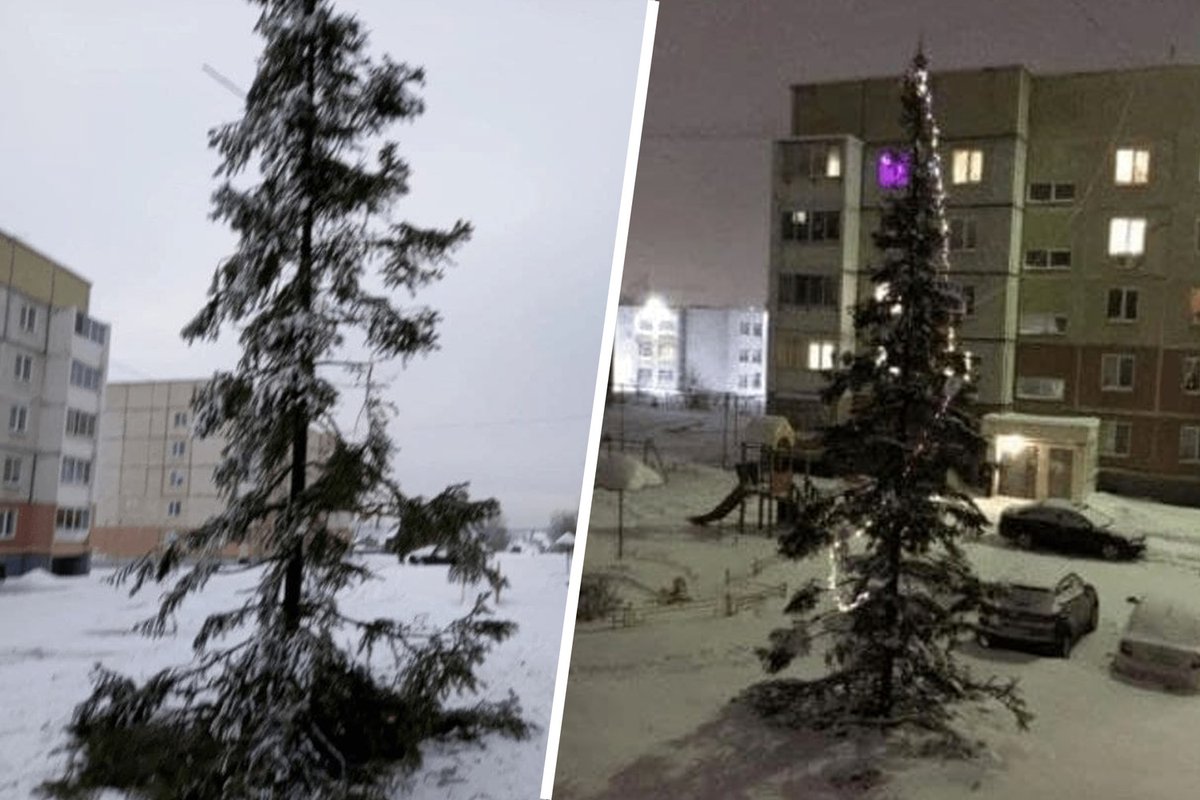Почему праздник был испорчен елка. Облезлая елка. Облезлая Новогодняя елка в Киеве. Испорченная елка. Облезлая елка в Кузьминках.