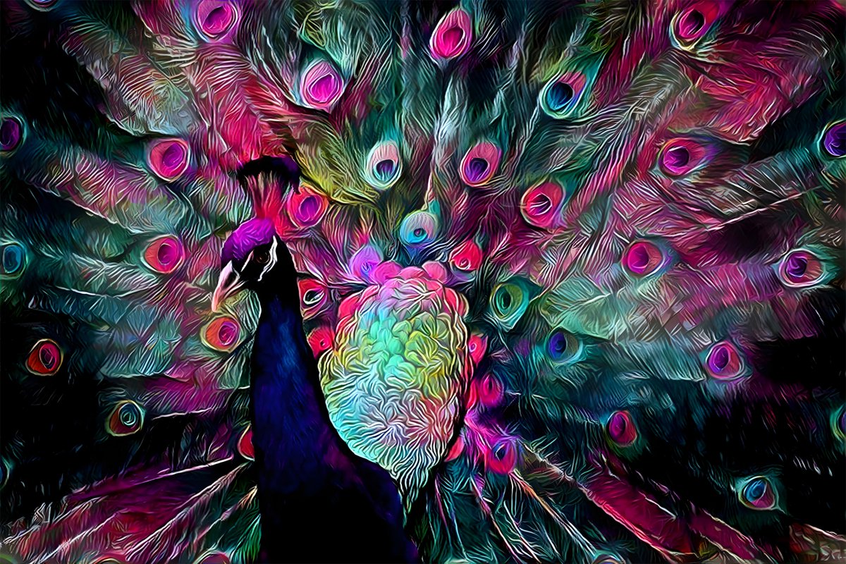 DigitalZooArt's tweet photo. 🦚1/1
https://t.co/CoFmIxmlcz

#animal #digitalzoo #NFT #RmrkApp #KusamaNetwork #nftcollectors #NFTCommunity @RmrkApp @KusamaNetwork https://t.co/87ETpgLw9m