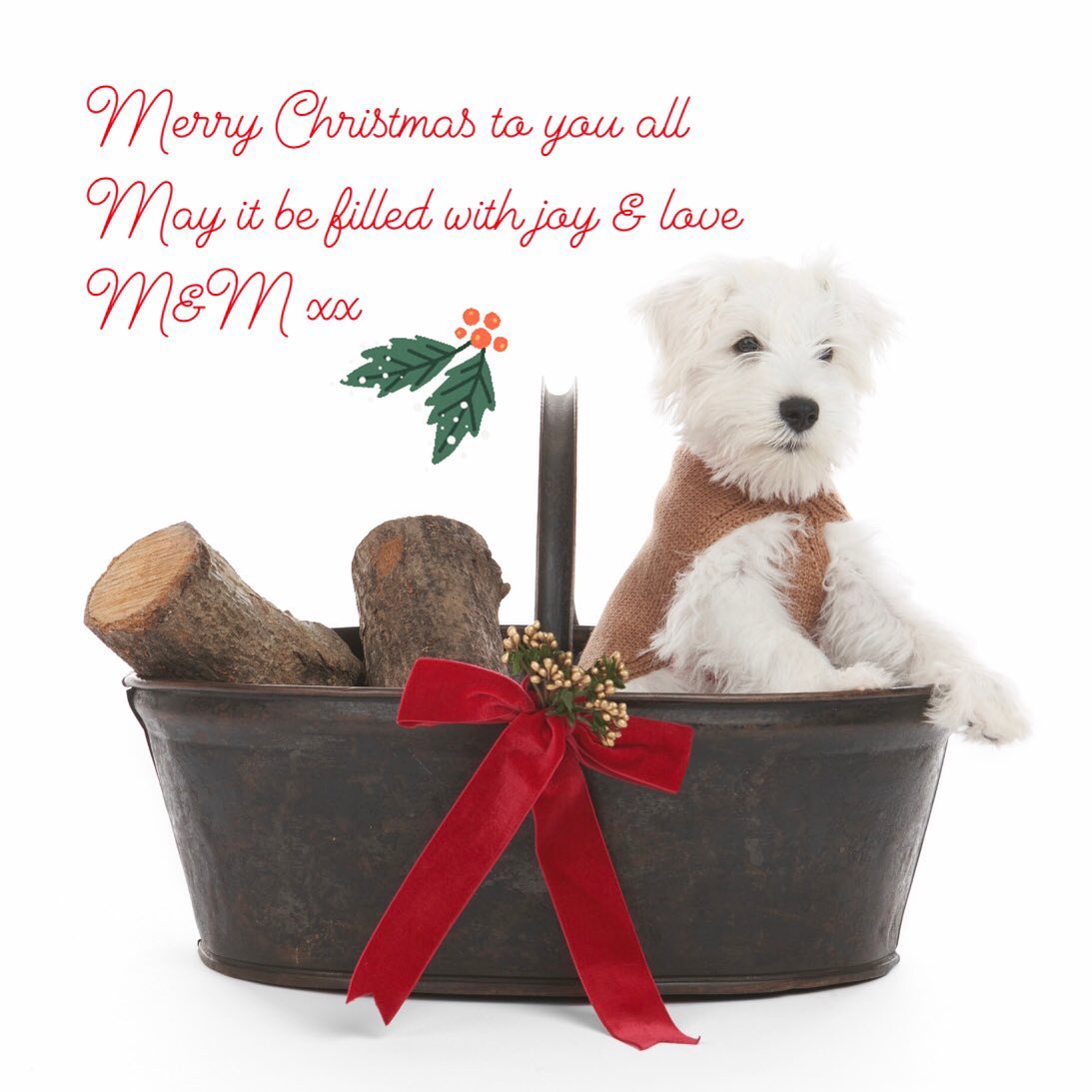 Merry Christmas to you all. With love M&amp;M 🐶🪵🎁