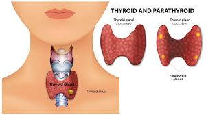 ThyroidTherapy's tweet photo. #Thyroid Disruption and #Triclosan in #Consumer Products – Is the threat contained?
for more details:https://t.co/E3CZ4AmabY https://t.co/zpVeAKLZb3