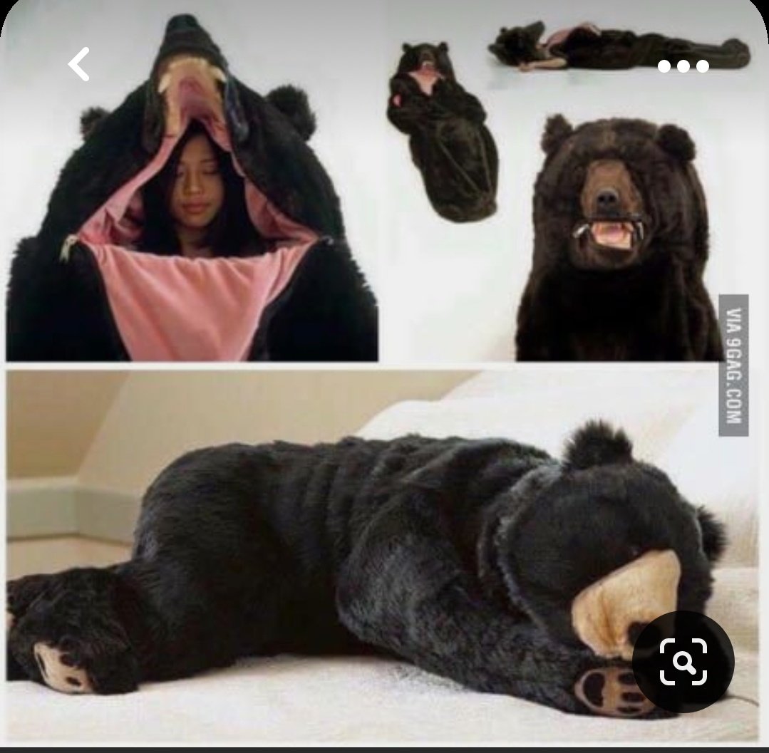 My next sleeping bag
