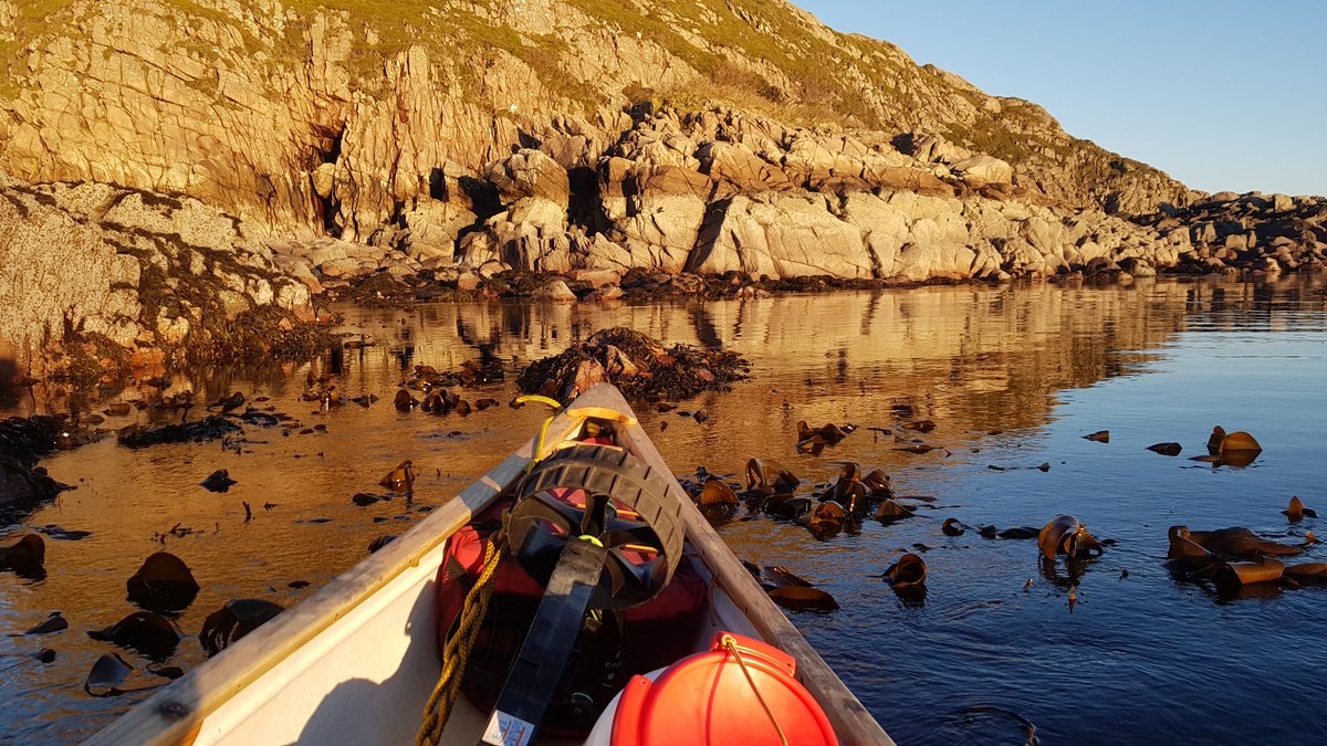 I hope you all have a super festive time and next year is filled with lots of pottering about in interesting places.

Photo from a few days ago at low tide, Loch Ewe coastline.