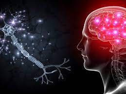 MicrobiolCurRes's tweet photo. Toxoplasma #Parasites Can Manipulate Host #Brain 
Cells
for more details:https://t.co/Du9vhWDxs5 https://t.co/Mg5UZtcl0o
