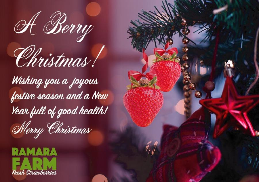 RamaraFarm's tweet photo. A berry Christmas to you all! https://t.co/oZhlnZlzNf