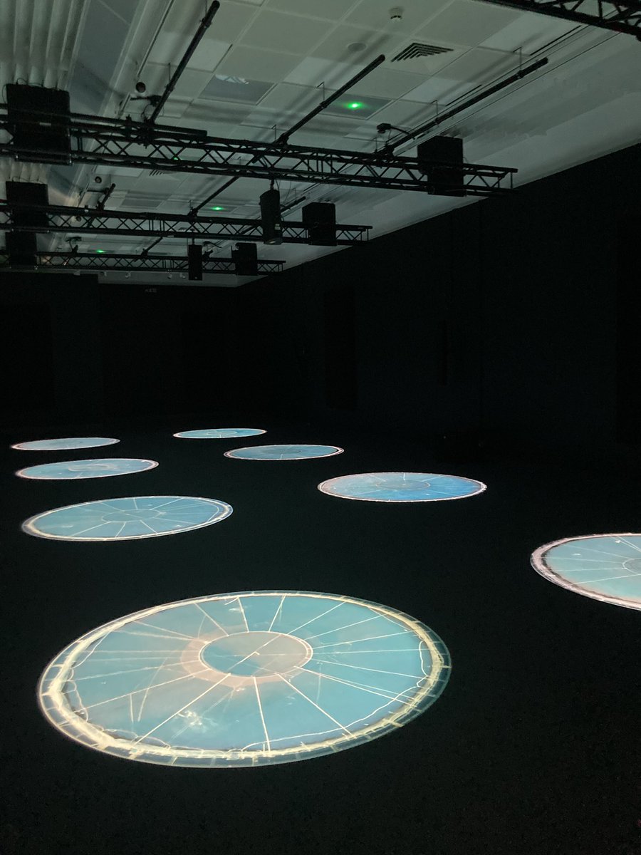 Alice McLean tweet media