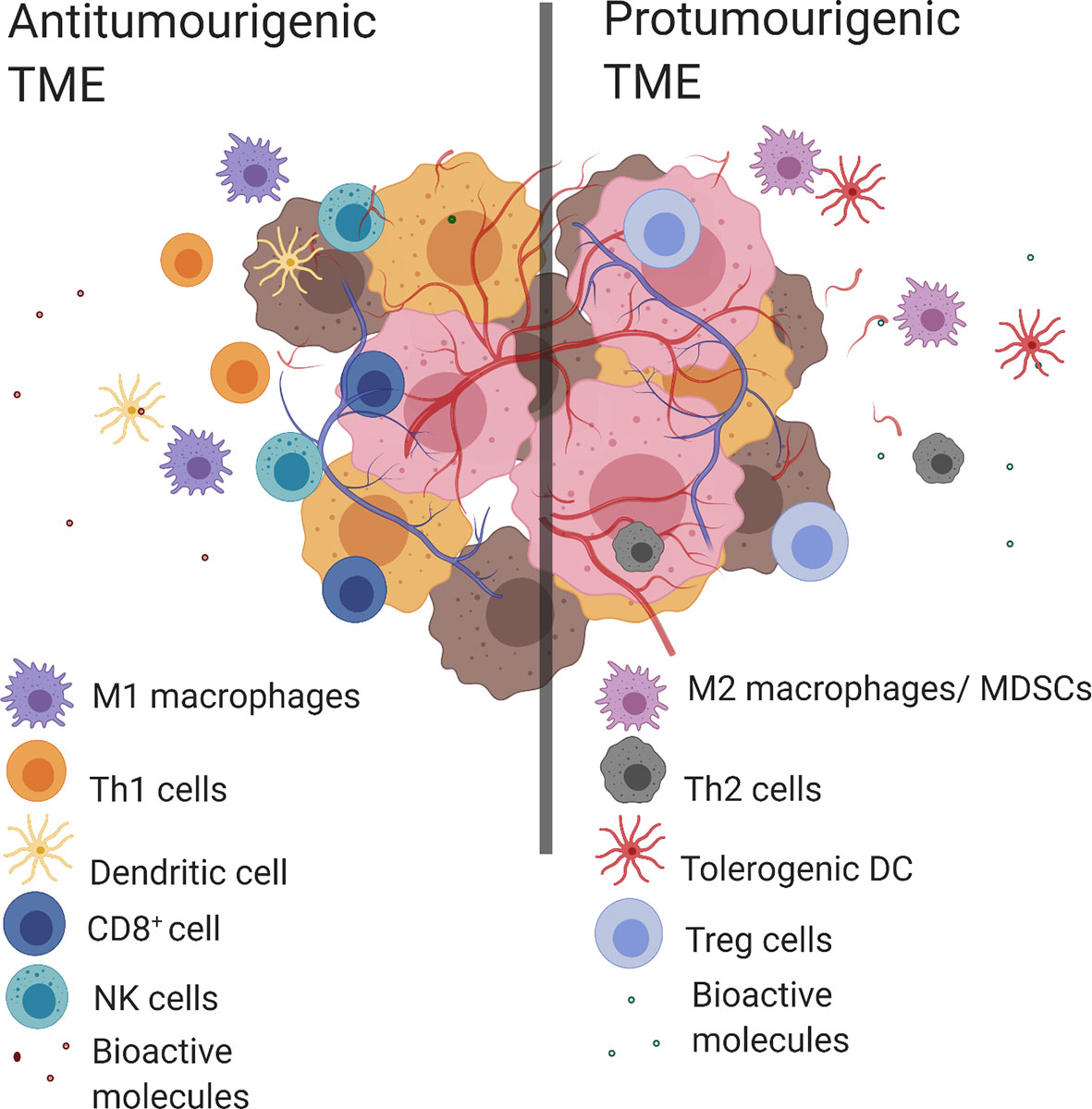 Frontiers - Oncology (@frontoncology) on Twitter photo ⭐ This weeks top 5 articles ⭐
#4: Tumor Associated Macrophages: Origin, Recruitment, Phenotypic Diversity, and Targeting
👩⚕️👨⚕️ Tetiana Hourani, James A. Holden et al.
Read now 👉 fro.ntiers.in/bV4p
<a href="/hadjigol/">sara hadjigol</a> @unimelb #Oncology #MedTwitter ⭐ This weeks top 5 articles ⭐
#4: Tumor Associated Macrophages: Origin, Recruitment, Phenotypic Diversity, and Targeting
👩⚕️👨⚕️ Tetiana Hourani, James A. Holden et al.
Read now 👉 fro.ntiers.in/bV4p
<a href="/hadjigol/">sara hadjigol</a> @unimelb #Oncology #MedTwitter