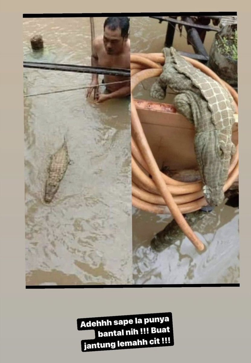 Buat hal laaaaaaa mat.