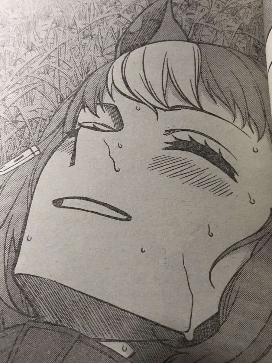 シンデレラグレイ
今回は史実ネタはとくにないかな。ディクタはツンデレ。ベルノはタイムの遅さ(1ハロン平均10〜11秒)で競走バの道は諦めたんだろうな。そしてツインビー(元ネタ競走馬)としてカサマツに帰るのか三輪勝装蹄師(元ネタ2笠松時代からのオグリの装蹄師)として完全サポートに回るんだろうか 