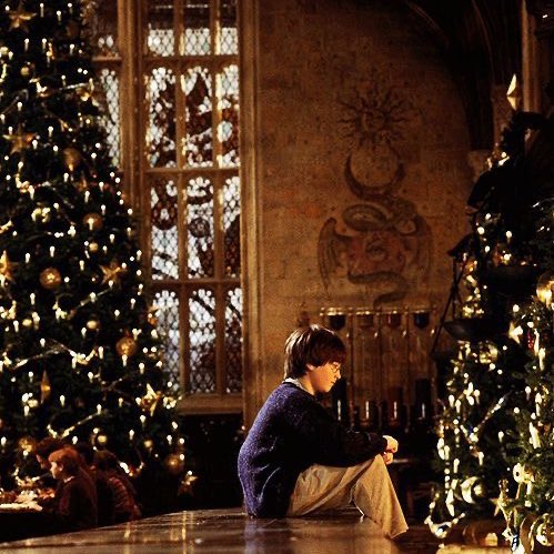 IavenderfieIds's tweet image. christmas magic at its finest