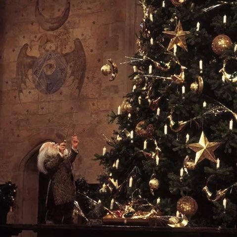 IavenderfieIds's tweet image. christmas magic at its finest