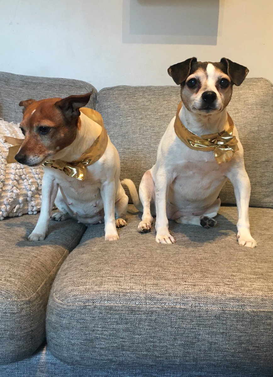 Ihanaa joulua kaikille 🖤