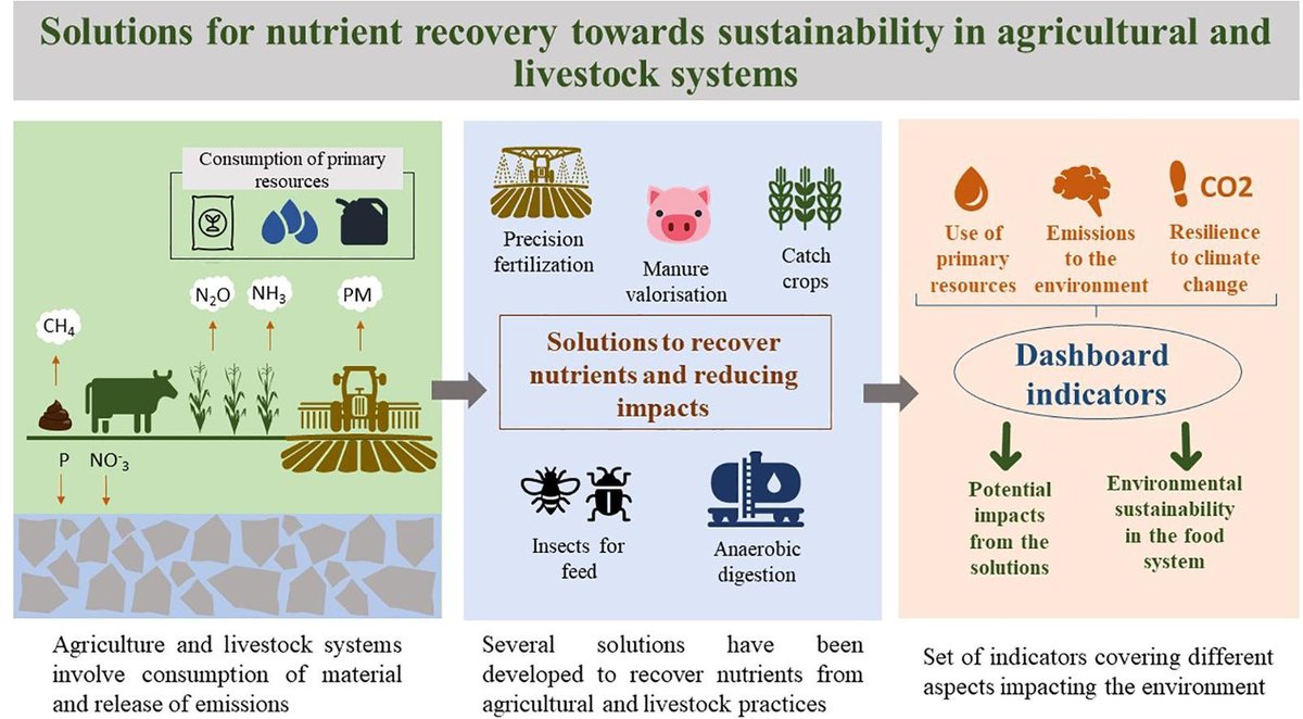 cofundURV's tweet photo. Congratulations to our #MSCA #cofundURV fellow @edilenepandrade for her new publication on selection and application of agri-environmental indicators to assess potential technologies for nutrient recovery in #agriculture
🔓https://t.co/oUTvIkWu3U
#EUfunded #H2020 #PhD @MSCActions https://t.co/euGuz4C5ha