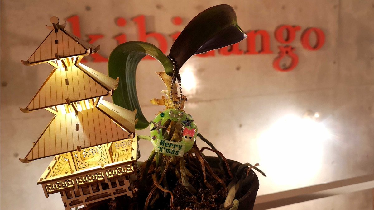 KibidangoJp's tweet photo. クリスマスツリーその壱
#ほっぺちゃん × #TinyTreehouses https://t.co/gQkRDdmjGW