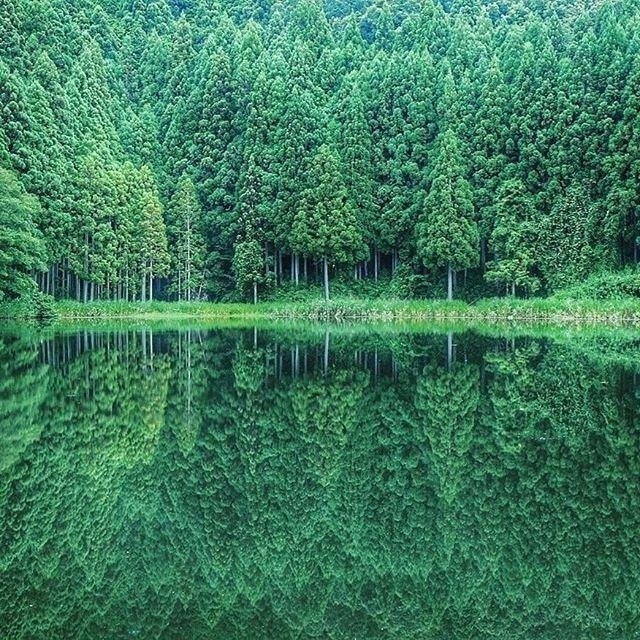 best_fact's tweet photo. Просто красиво https://t.co/kZwK6Rk4Ge