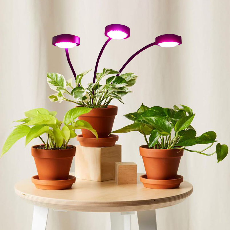 sansitechnology's tweet photo. Christmas sale will end today, seize the opportunity to get the most amazing deals of the year!!!
Grab it now: 
https://t.co/wmRuooZvPS

#sansi #sansiled #christmassale #christmas #sale #christmasgift #christmasdecor
#nature #houseplants #plant
 #plants #happyplants https://t.co/vfRL3kHpAo