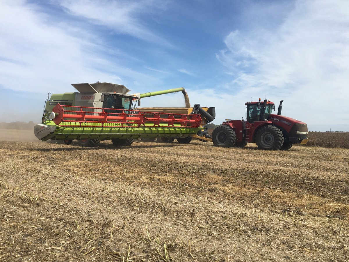 And beans are go 👌itsonlikedonkeykong