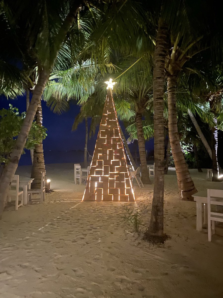 It’s a WRAP for the year. Christmas Tree #Soneva style #Maldives