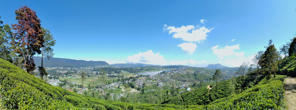 Us3rChang3d's tweet image. #Panorama 
#singletree temple.
#nuwaraeliya
#mobilephotography