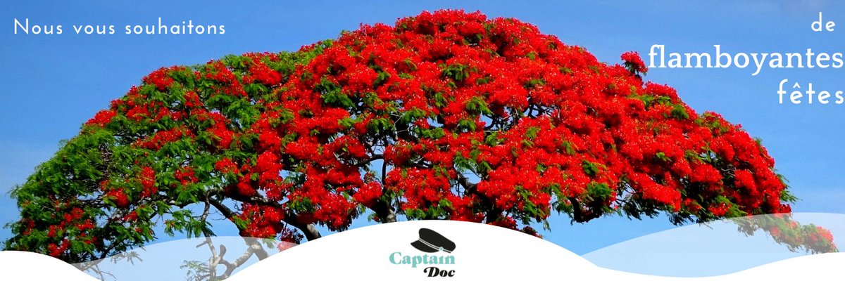 🎊 Captain Doc vous souhaite un Noël flamboyant et des fêtes pleines de paillettes ✨.

Dès janvier, la capitaine et son équipage seront ravis de vous accueillir à bord pour une nouvelle destination 👉 2022 !

Belles fêtes à tous !

#joyeusesfetes #noel