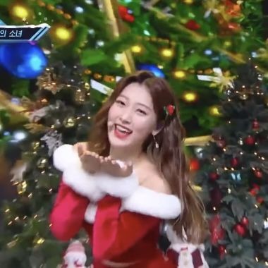happy one year to this choerry!