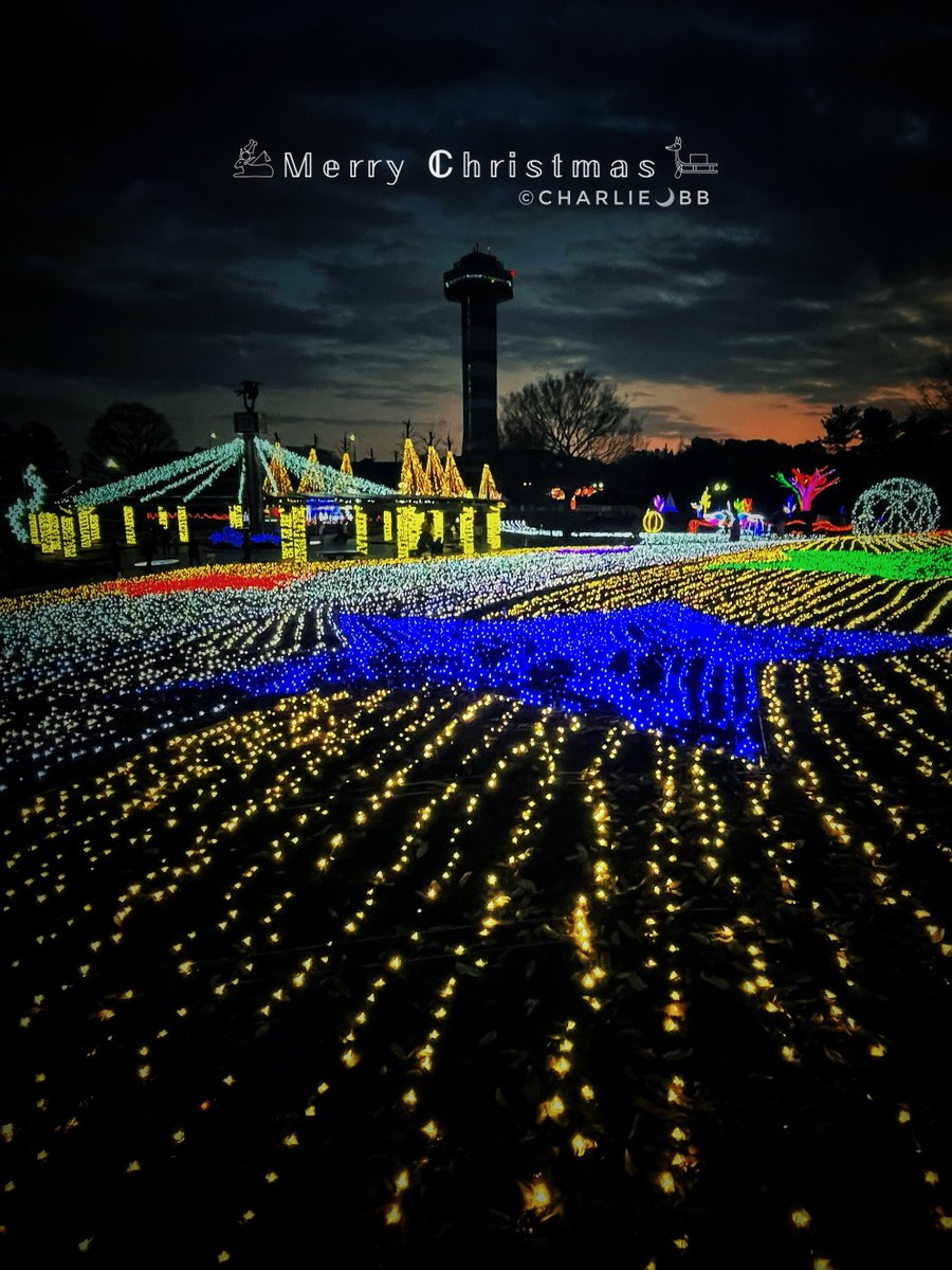 WineHouse18cBB's tweet photo. 💝🎄
May this Christmas season sparkle and shine, may all of your wishes and dreams come true, and may you feel this happiness all year round.

＃写真で伝えたい私の世界 https://t.co/4xmrAtXe0P