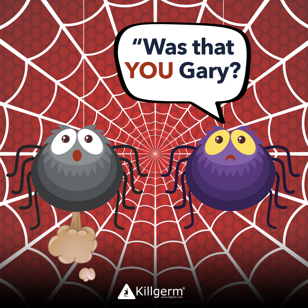 Killgerm's tweet photo. Did you know that bugs fart too?
#funfactfriday #killgerm #chemunity #pestcontrol https://t.co/FfGpyd23CU