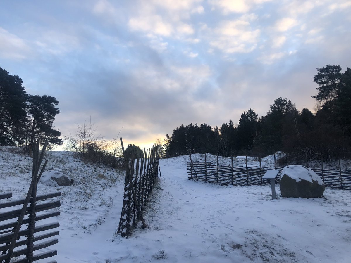 God Jul / Happy Christmas from Snowy Sweden! I had a great start to the day with a Viking age gravefield, and -11C outside ❄️