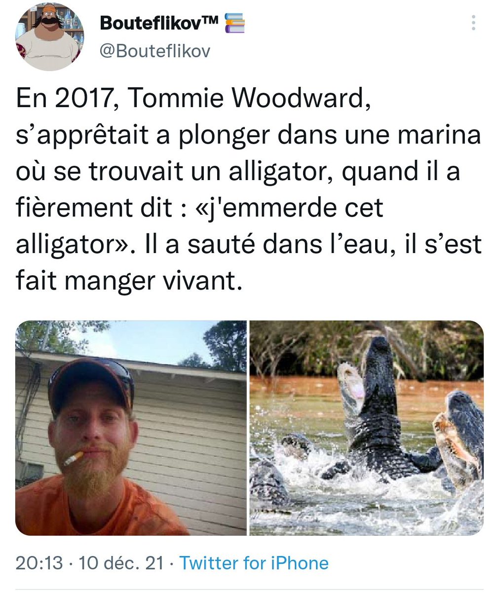 karmaaOfficiel's tweet photo. https://t.co/qteemrmxEv