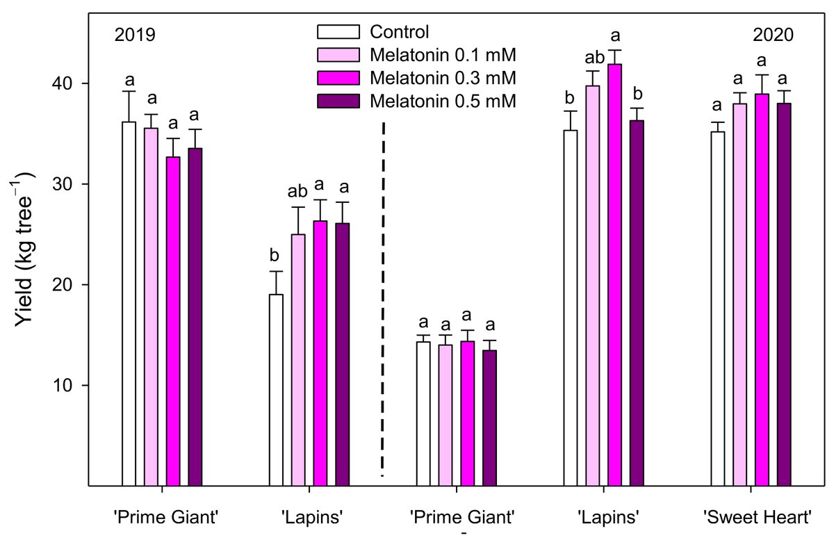 Agronomy_Mdpi's tweet photo. 🍒" Effects of #Melatonin Treatment on Sweet #Cherry Tree #Yield and #FruitQuality " by Alberto Carrión-Antolí et al.
📖https://t.co/zLrJyVd89l
📚This article belongs to the Special Issue Principles and Practices in #FruitTreeProduction and #Postharvest Management https://t.co/UMDiVFCRaU