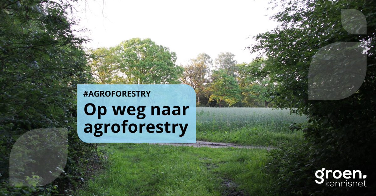 groenkennisnet's tweet photo. Maak in vier video’s kennis met de boeren en tuinders die #agroforestry succesvol op hun bedrijf toepassen. Twee melkveehouders, een pluimveehouder en een akkerbouwer vertellen over hun ervaringen: 
https://t.co/bUEOfr3j9I https://t.co/D4vApL2RyC