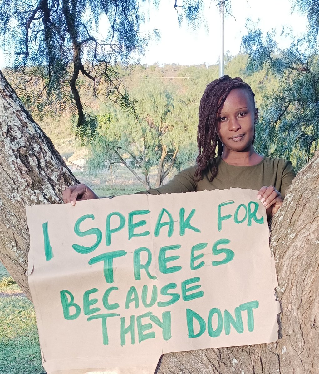 shylacherop's tweet photo. Cutting down trees means ending lives,plant a tree today and save lives.We cannot keep hoping but takeaction #FridayForFuture #ClimateAction #ClimateCrisis 
@GretaThunberg @guardianeco @LeoDiCaprio  @Greenpeaceafric @climatemorgan @Planetary_Sec @PauletteRahmina @CLIMATEwBORDERS https://t.co/VwKPLFNwob