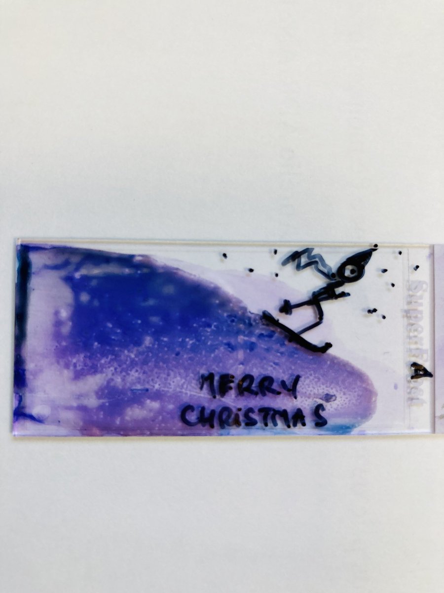 SMPFvox's tweet photo. 🐻❄️🌟Savoir regarder ses lames pour les #diagnostics mais savoir rêver parfois ! Les #pathologistes vous souhaitent un très joyeux Noël #JOYEUXNOEL @SMPFvox https://t.co/j9bQHY4Gog