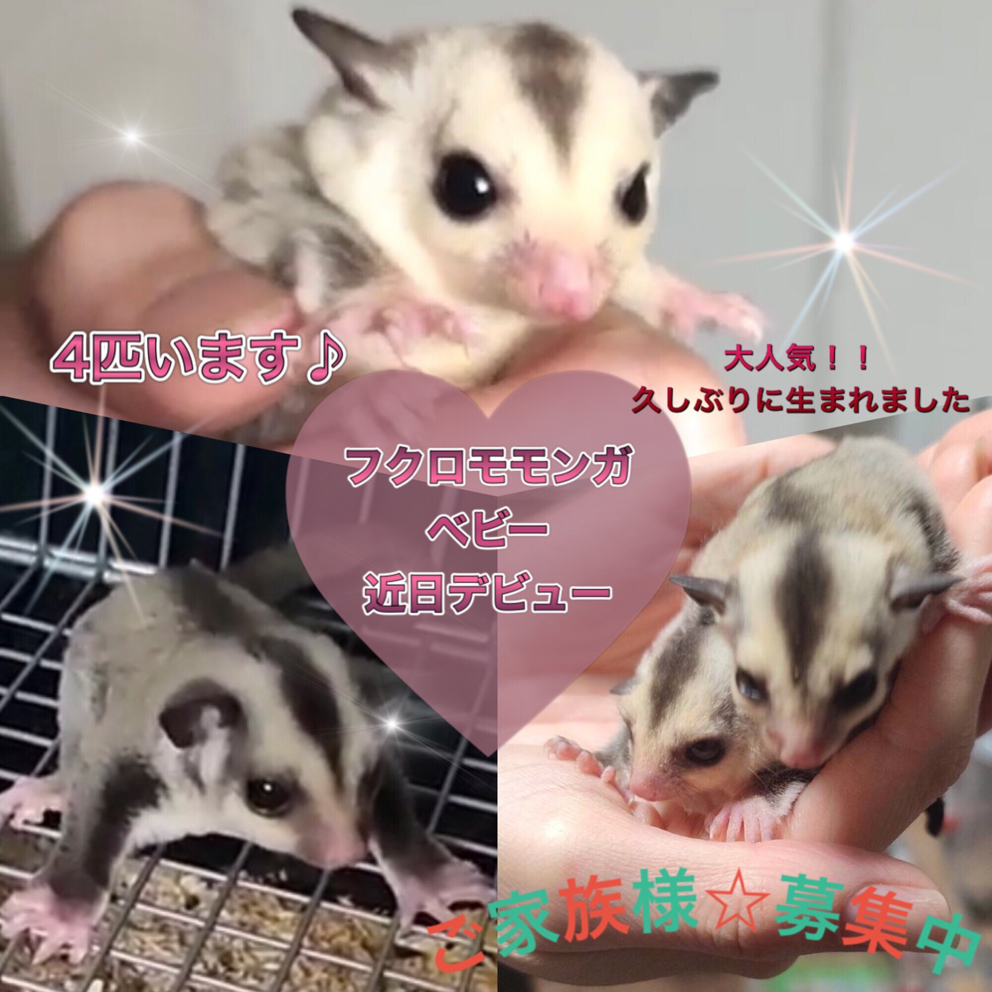 モモンガハウス(いちご・ハートラメ) ボア白 2000円