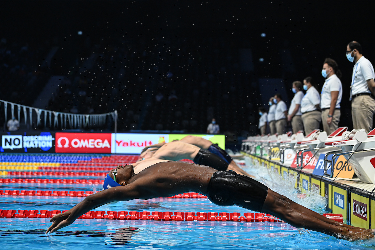 World Aquatics tweet media