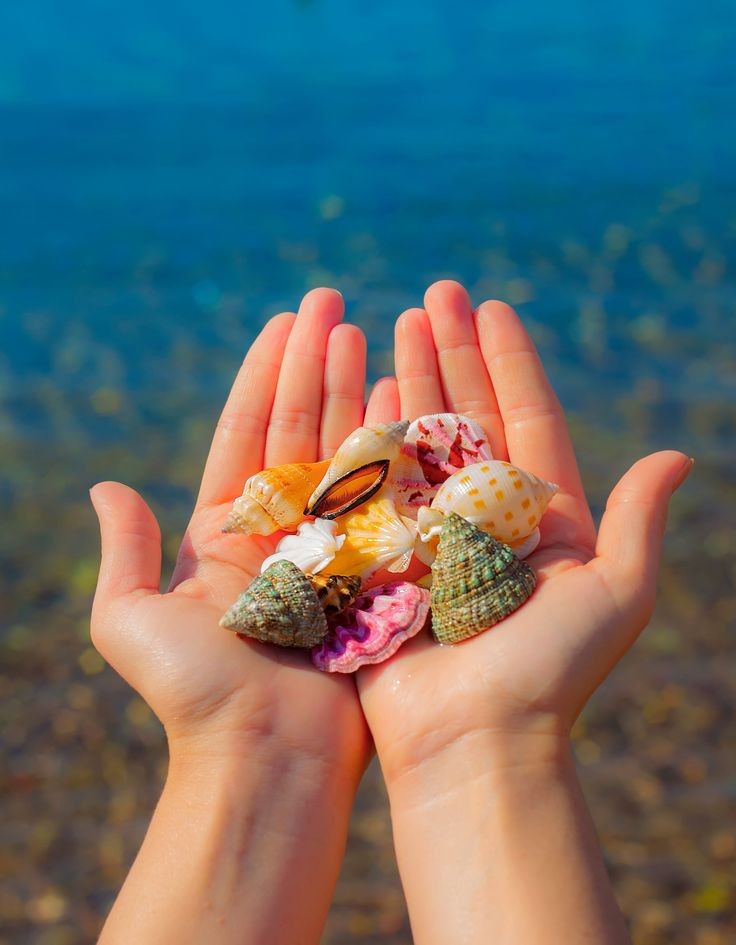 colors_7_'s tweet image. 